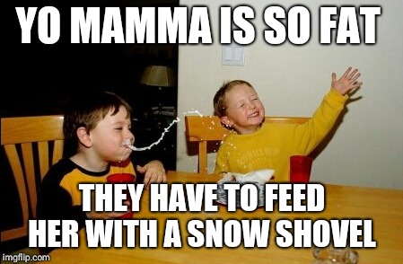 Yo Mamas So Fat Meme | YO MAMMA IS SO FAT; THEY HAVE TO FEED HER WITH A SNOW SHOVEL | image tagged in memes,yo mamas so fat | made w/ Imgflip meme maker