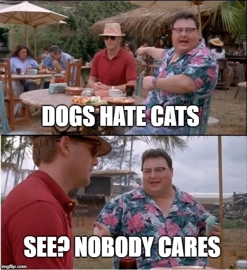 See Nobody Cares Meme | DOGS HATE CATS SEE? NOBODY CARES | image tagged in memes,see nobody cares | made w/ Imgflip meme maker