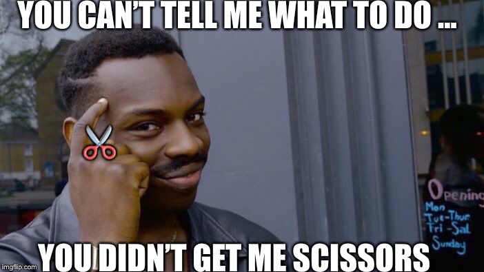 Roll Safe Think About It | YOU CAN’T TELL ME WHAT TO DO ... ✂️; YOU DIDN’T GET ME SCISSORS | image tagged in memes,roll safe think about it | made w/ Imgflip meme maker