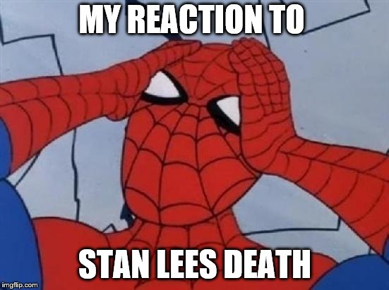 Spiderman is Confused. | MY REACTION TO; STAN LEES DEATH | image tagged in spiderman is confused | made w/ Imgflip meme maker