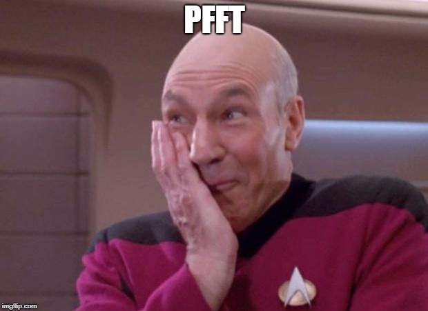 Picard smirk | PFFT | image tagged in picard smirk | made w/ Imgflip meme maker