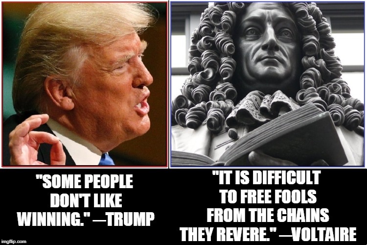 "IT IS DIFFICULT TO FREE FOOLS FROM THE CHAINS THEY REVERE." ─VOLTAIRE; "SOME PEOPLE DON'T LIKE WINNING." ─TRUMP | image tagged in vince vance,voltaire,good hair,donald trump,45th president,potus | made w/ Imgflip meme maker