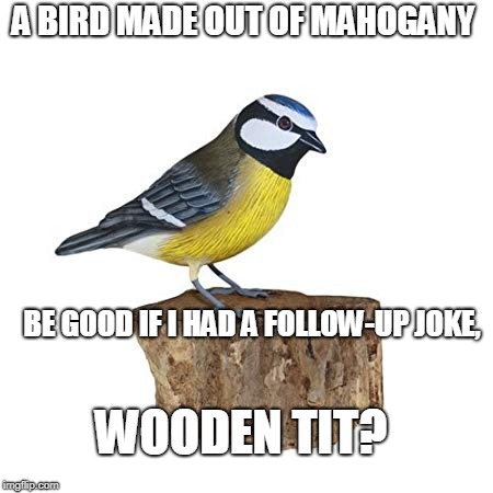 Bad Joke Bird | A BIRD MADE OUT OF MAHOGANY; BE GOOD IF I HAD A FOLLOW-UP JOKE, WOODEN TIT? | image tagged in bad joke,funny,memes,bad pun,birds | made w/ Imgflip meme maker