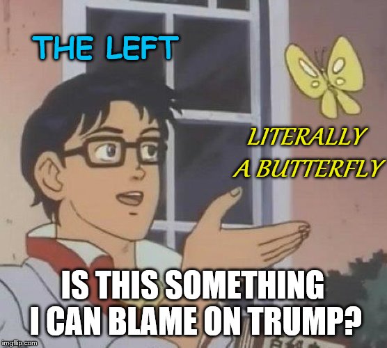 Is This A Pigeon | THE LEFT; LITERALLY A BUTTERFLY; IS THIS SOMETHING I CAN BLAME ON TRUMP? | image tagged in memes,is this a pigeon,donald trump,leftists | made w/ Imgflip meme maker