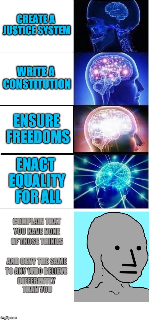 The evolution of Freedom | CREATE A JUSTICE SYSTEM; WRITE A CONSTITUTION; ENSURE FREEDOMS; ENACT EQUALITY  FOR ALL; COMPLAIN THAT; YOU HAVE NONE; OF THOSE THINGS; AND DENY THE SAME; TO ANY WHO BELIEVE; DIFFERENTLY THAN YOU | image tagged in expanding brain,memes,npc | made w/ Imgflip meme maker