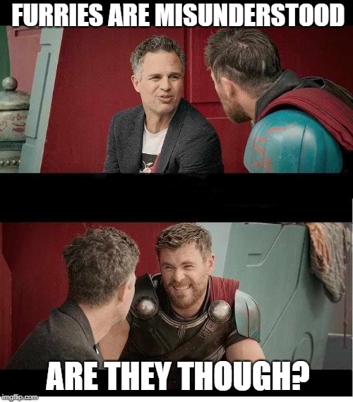 Bruce Banner and Thor is he though? | FURRIES ARE MISUNDERSTOOD; ARE THEY THOUGH? | image tagged in bruce banner and thor is he though | made w/ Imgflip meme maker