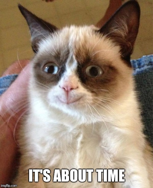 Grumpy Cat Happy Meme | IT'S ABOUT TIME | image tagged in memes,grumpy cat happy,grumpy cat | made w/ Imgflip meme maker