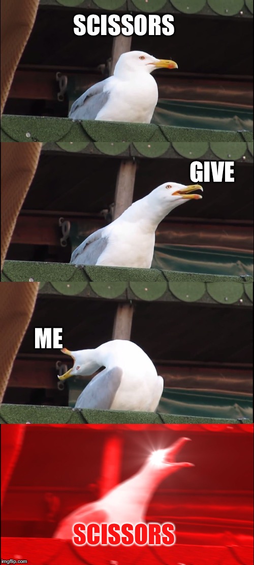 Inhaling Seagull | SCISSORS; GIVE; ME; SCISSORS | image tagged in memes,inhaling seagull | made w/ Imgflip meme maker