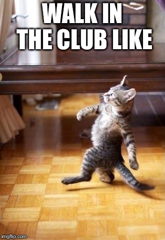 Cool Cat Stroll Meme | WALK IN THE CLUB LIKE | image tagged in memes,cool cat stroll | made w/ Imgflip meme maker