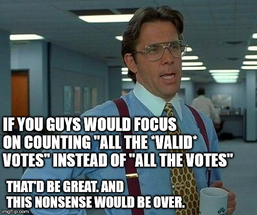 Florida and Georgia... enough already... | IF YOU GUYS WOULD FOCUS ON COUNTING "ALL THE *VALID* VOTES" INSTEAD OF "ALL THE VOTES"; THAT'D BE GREAT. AND THIS NONSENSE WOULD BE OVER. | image tagged in memes,that would be great,recount,election 2018 | made w/ Imgflip meme maker