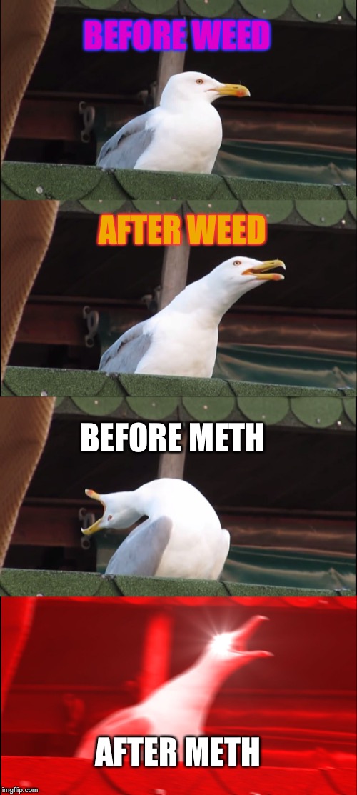 Inhaling Seagull | BEFORE WEED; AFTER WEED; BEFORE METH; AFTER METH | image tagged in memes,inhaling seagull | made w/ Imgflip meme maker