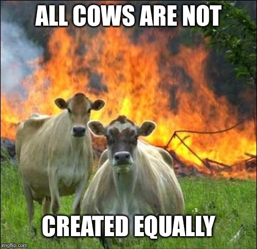 Evil Cows Meme | ALL COWS ARE NOT CREATED EQUALLY | image tagged in memes,evil cows | made w/ Imgflip meme maker