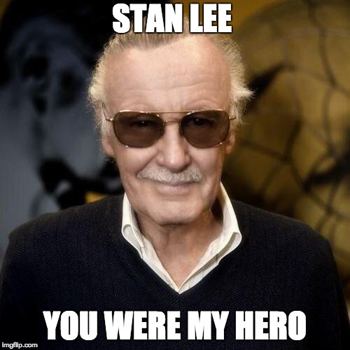 Stan Lee aprovle  | STAN LEE; YOU WERE MY HERO | image tagged in stan lee aprovle | made w/ Imgflip meme maker