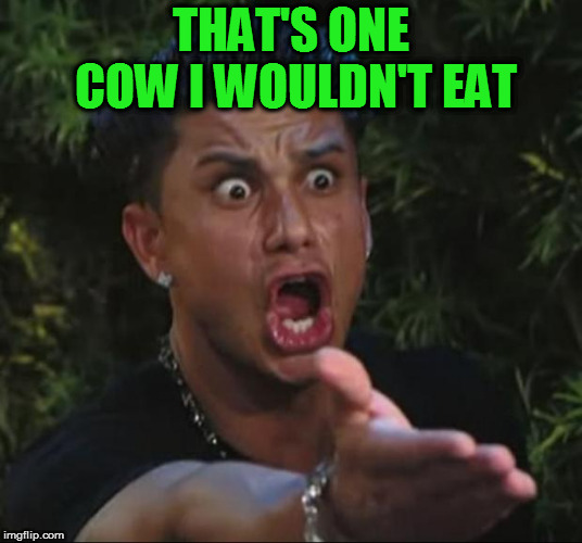 DJ Pauly D Meme | THAT'S ONE COW I WOULDN'T EAT | image tagged in memes,dj pauly d | made w/ Imgflip meme maker