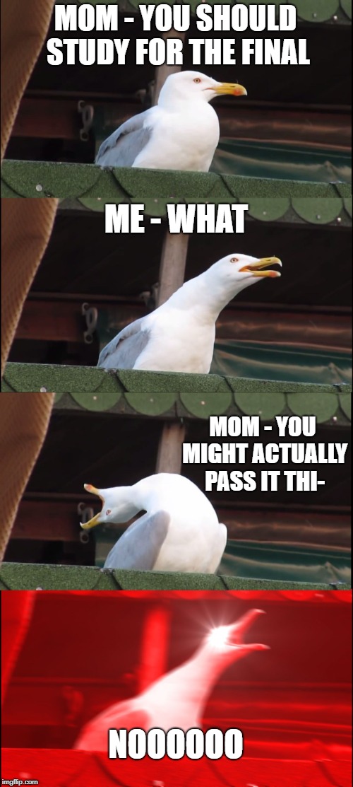 Inhaling Seagull | MOM - YOU SHOULD STUDY FOR THE FINAL; ME - WHAT; MOM - YOU MIGHT ACTUALLY PASS IT THI-; NOOOOOO | image tagged in memes,inhaling seagull | made w/ Imgflip meme maker