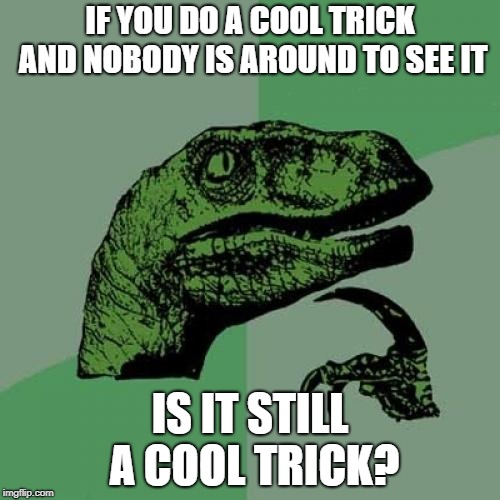 Philosoraptor | IF YOU DO A COOL TRICK AND NOBODY IS AROUND TO SEE IT; IS IT STILL A COOL TRICK? | image tagged in memes,philosoraptor | made w/ Imgflip meme maker