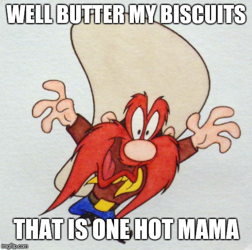 WELL BUTTER MY BISCUITS THAT IS ONE HOT MAMA | made w/ Imgflip meme maker