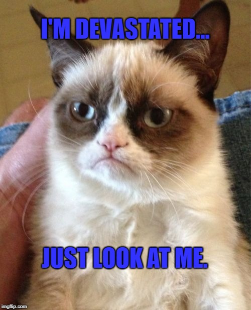 Grumpy Cat Meme | I'M DEVASTATED... JUST LOOK AT ME. | image tagged in memes,grumpy cat | made w/ Imgflip meme maker