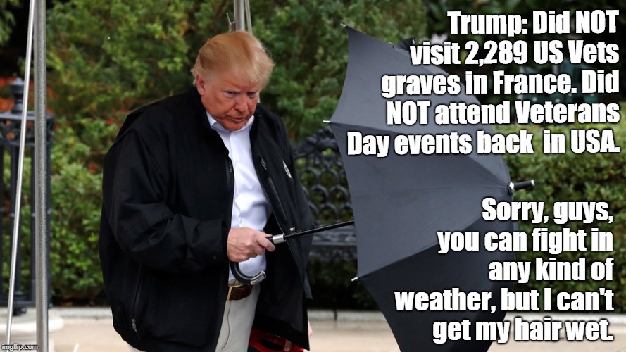 TRUMP UMBRELLA | Trump: Did NOT visit 2,289 US Vets graves in France. Did NOT attend Veterans Day events back  in USA. Sorry, guys, you can fight in any kind of weather, but I can't get my hair wet. | image tagged in trump umbrella | made w/ Imgflip meme maker