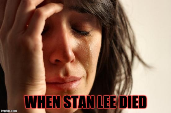 First World Problems | WHEN STAN LEE DIED | image tagged in memes,first world problems | made w/ Imgflip meme maker