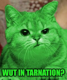 RayCat Annoyed | WUT IN TARNATION? | image tagged in raycat annoyed | made w/ Imgflip meme maker