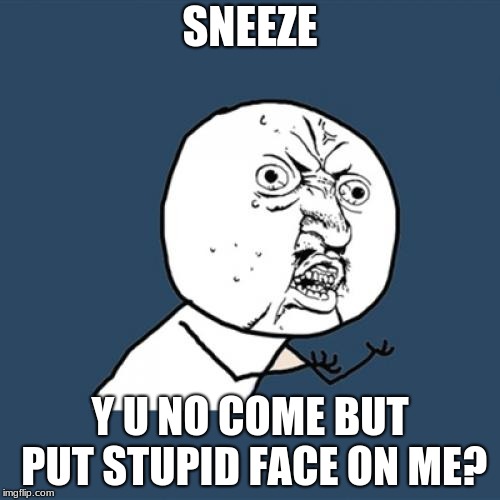 Y U No Meme |  SNEEZE; Y U NO COME BUT PUT STUPID FACE ON ME? | image tagged in memes,y u no | made w/ Imgflip meme maker