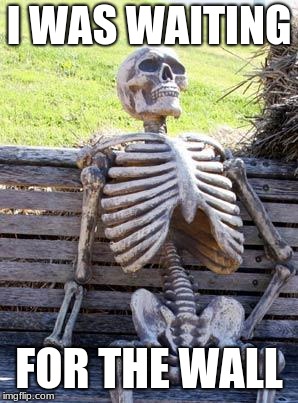 Waiting Skeleton | I WAS WAITING; FOR THE WALL | image tagged in memes,waiting skeleton | made w/ Imgflip meme maker