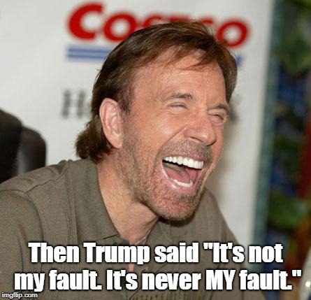 Chuck Norris Laughing Meme | Then Trump said "It's not my fault. It's never MY fault." | image tagged in memes,chuck norris laughing,chuck norris | made w/ Imgflip meme maker