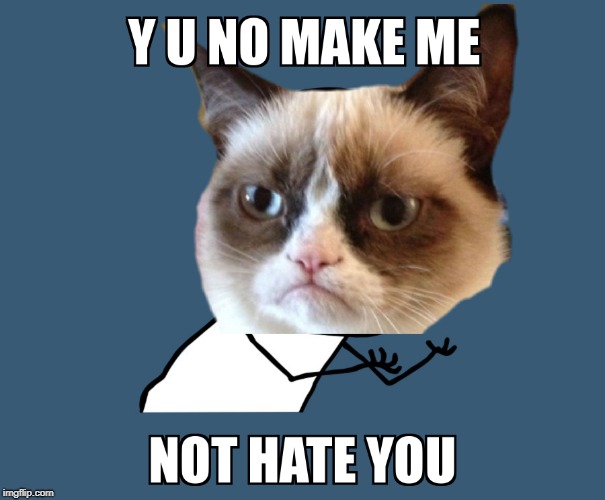Make me not hate you. Of course, I probably will anyways.  | image tagged in y u no,grumpy cat meme,make me no hate u | made w/ Imgflip meme maker