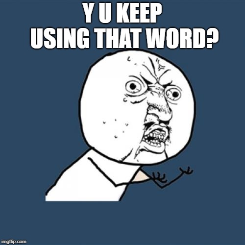 Y U No Meme | Y U KEEP USING THAT WORD? | image tagged in memes,y u no | made w/ Imgflip meme maker