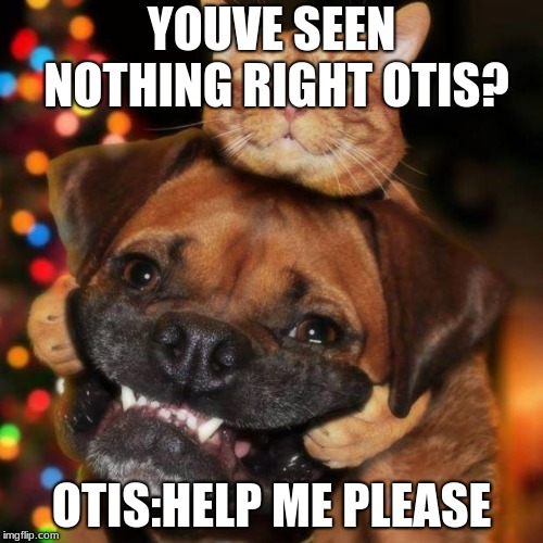 dogs an cats | YOUVE SEEN NOTHING RIGHT OTIS? OTIS:HELP ME PLEASE | image tagged in dogs an cats | made w/ Imgflip meme maker