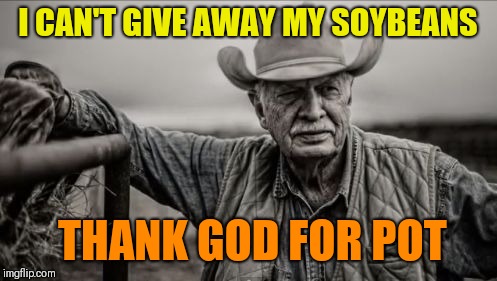 So God Made A Farmer |  I CAN'T GIVE AWAY MY SOYBEANS; THANK GOD FOR POT | image tagged in memes,so god made a farmer | made w/ Imgflip meme maker