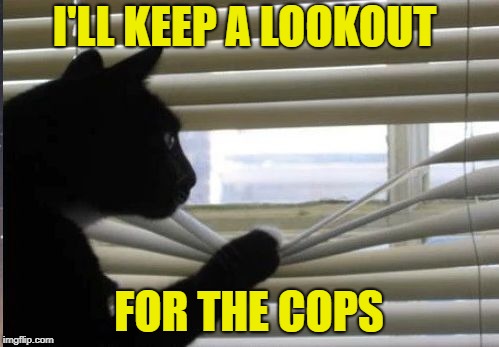 I'LL KEEP A LOOKOUT FOR THE COPS | made w/ Imgflip meme maker