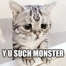 Y U SUCH MONSTER | made w/ Imgflip meme maker