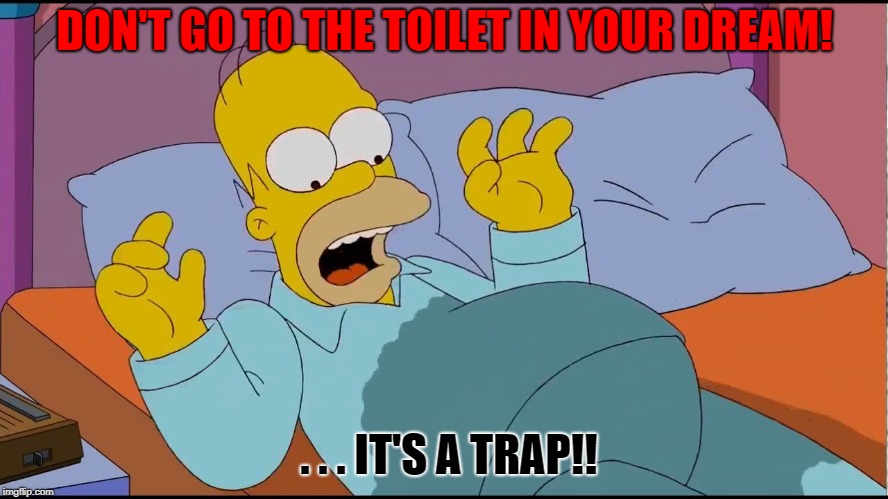 When you wet the bed... | DON'T GO TO THE TOILET IN YOUR DREAM! . . . IT'S A TRAP!! | image tagged in homer simpson,pee | made w/ Imgflip meme maker