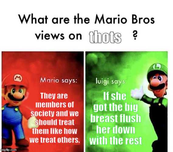 Marios bros views on thots | thots; They are members of society and we should treat them like how we treat others. If she got the big breast flush her down with the rest | image tagged in mario bros views,thots | made w/ Imgflip meme maker