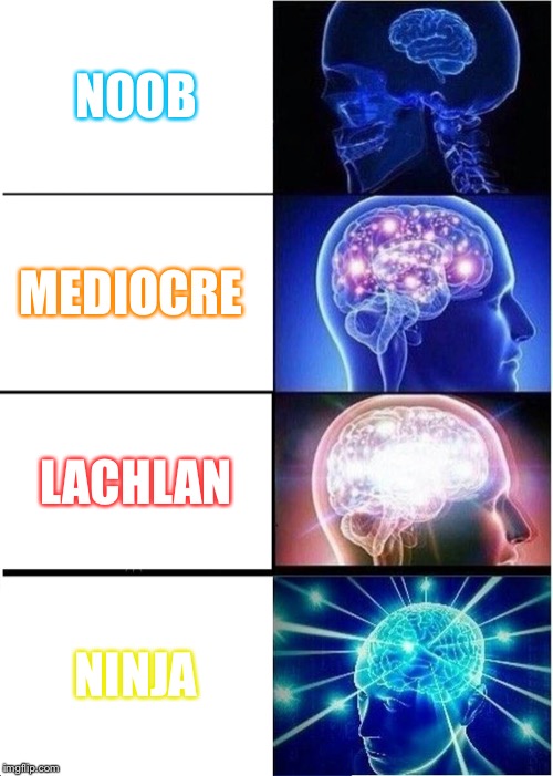 Expanding Brain | NOOB; MEDIOCRE; LACHLAN; NINJA | image tagged in memes,expanding brain | made w/ Imgflip meme maker