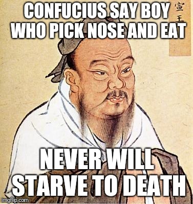 confucius | CONFUCIUS SAY BOY WHO PICK NOSE AND EAT; NEVER WILL STARVE TO DEATH | image tagged in confucius | made w/ Imgflip meme maker