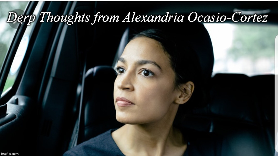 Derp Thoughts from AOC Blank Meme Template