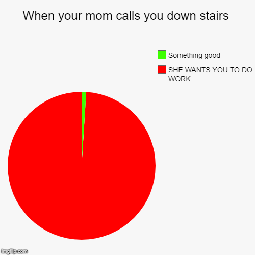 When your mom calls you down stairs | SHE WANTS YOU TO DO WORK, Something good | image tagged in funny,pie charts | made w/ Imgflip chart maker