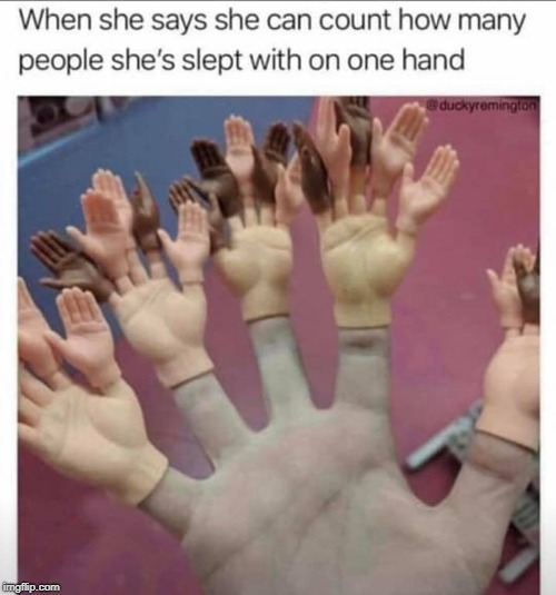 This one made me laugh, it's a snatch and run from a FB meme group. It's a classic. | image tagged in hands up,i wonder who all she's been with,how many,one hand | made w/ Imgflip meme maker