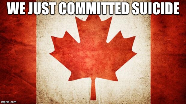 Canada | WE JUST COMMITTED SUICIDE | image tagged in canada | made w/ Imgflip meme maker