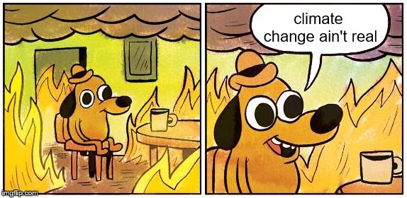 This is Fine (Blank) | climate change ain't real | image tagged in this is fine blank | made w/ Imgflip meme maker