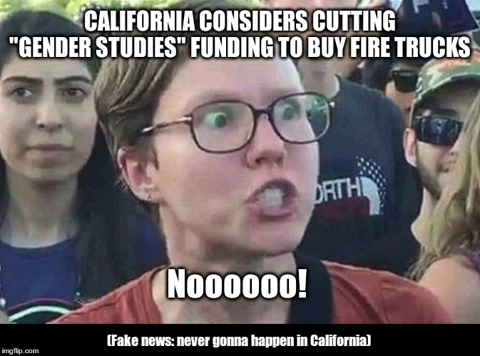 California Priorities | CALIFORNIA CONSIDERS CUTTING "GENDER STUDIES" FUNDING TO BUY FIRE TRUCKS; Noooooo! (Fake news: never gonna happen in California) | image tagged in not gonna happen in,california,fires,its all a matter of priorities,or lack thereof | made w/ Imgflip meme maker