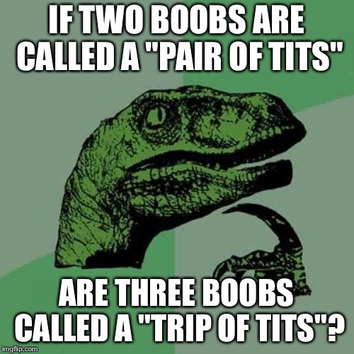 Philosoraptor Meme | IF TWO BOOBS ARE CALLED A "PAIR OF TITS"; ARE THREE BOOBS CALLED A "TRIP OF TITS"? | image tagged in memes,philosoraptor | made w/ Imgflip meme maker