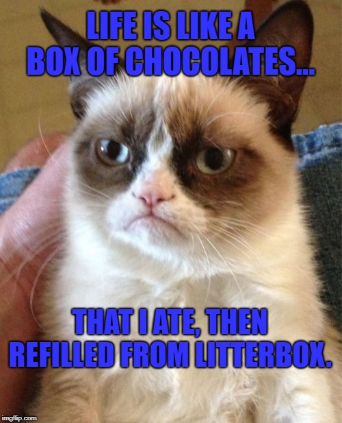 Not bad, but what's this crunchy stuff, and why does it smell of ammonia? | LIFE IS LIKE A BOX OF CHOCOLATES... THAT I ATE, THEN REFILLED FROM LITTERBOX. | image tagged in memes,grumpy cat,forest gump mama says,cat poop | made w/ Imgflip meme maker