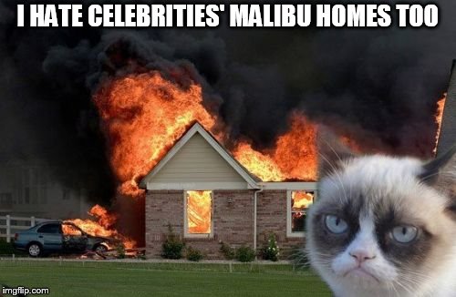Burn Kitty | I HATE CELEBRITIES' MALIBU HOMES TOO | image tagged in memes,burn kitty,grumpy cat | made w/ Imgflip meme maker