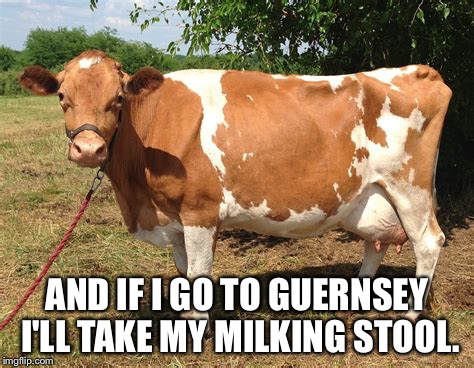 AND IF I GO TO GUERNSEY I'LL TAKE MY MILKING STOOL. | made w/ Imgflip meme maker