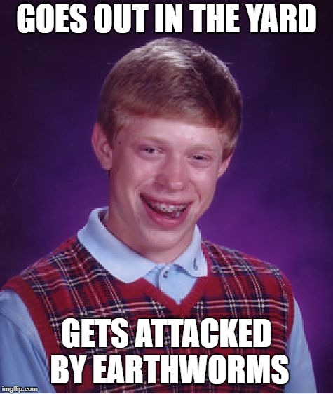 Bad Luck Brian Meme | GOES OUT IN THE YARD GETS ATTACKED BY EARTHWORMS | image tagged in memes,bad luck brian | made w/ Imgflip meme maker