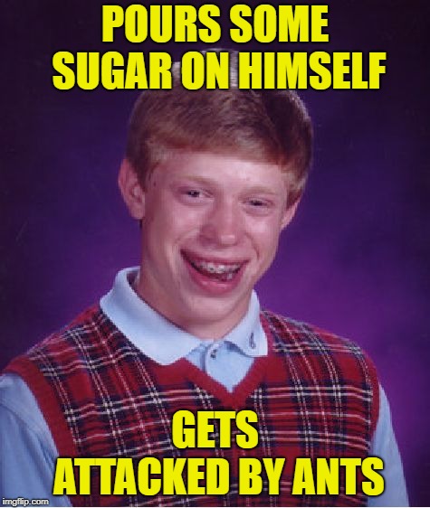 Bad Luck Brian Meme | POURS SOME SUGAR ON HIMSELF GETS ATTACKED BY ANTS | image tagged in memes,bad luck brian | made w/ Imgflip meme maker